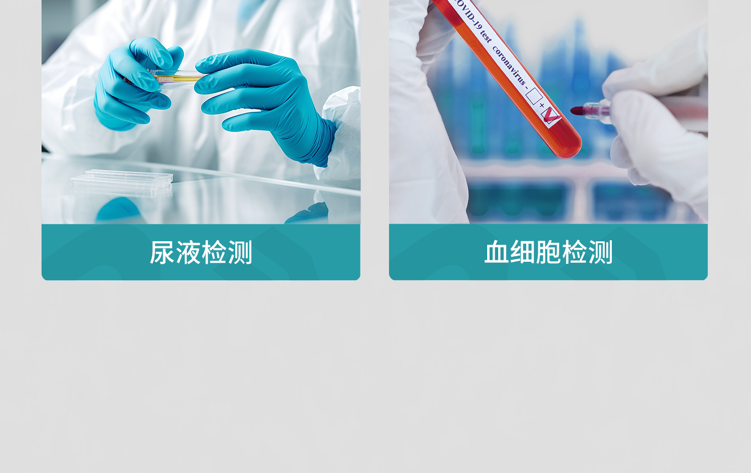 bkm放免試管_20.jpg