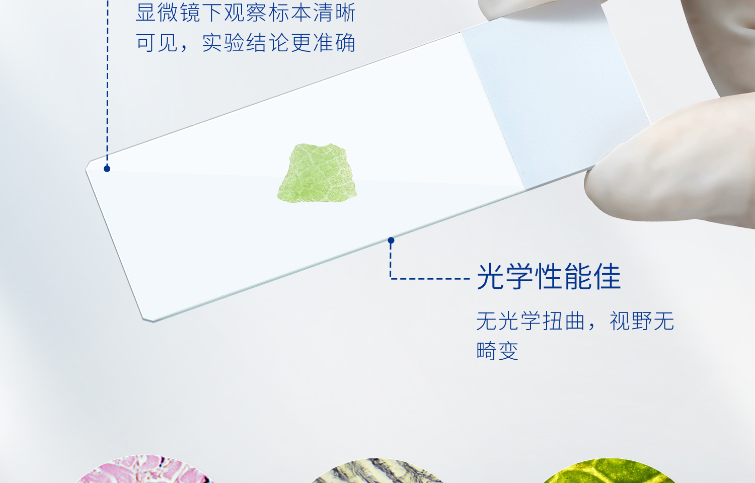 湘玻載玻片詳情_08.jpg