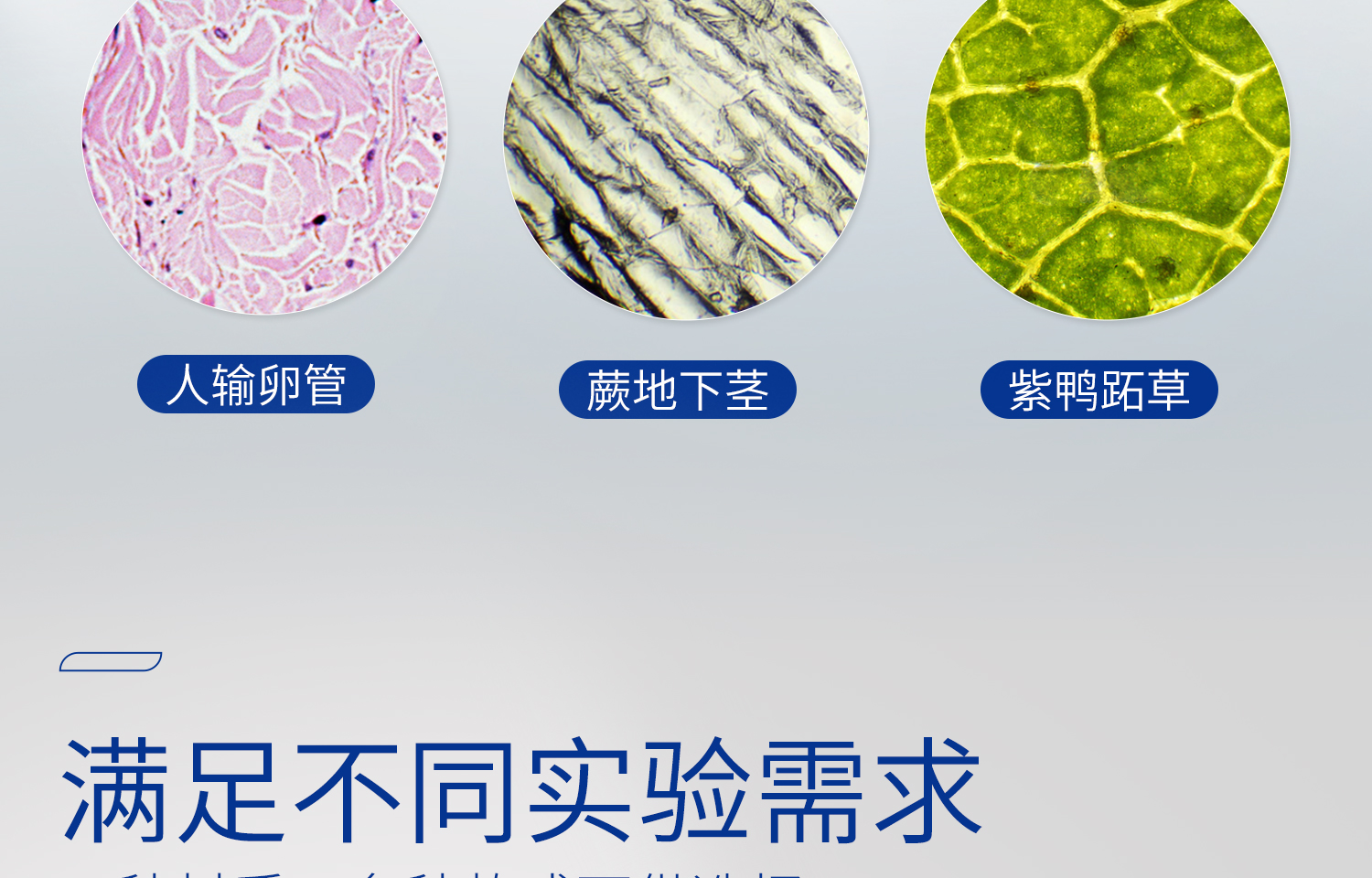 湘玻載玻片詳情_09.jpg