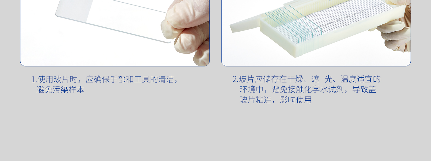 湘玻載玻片詳情_24.jpg
