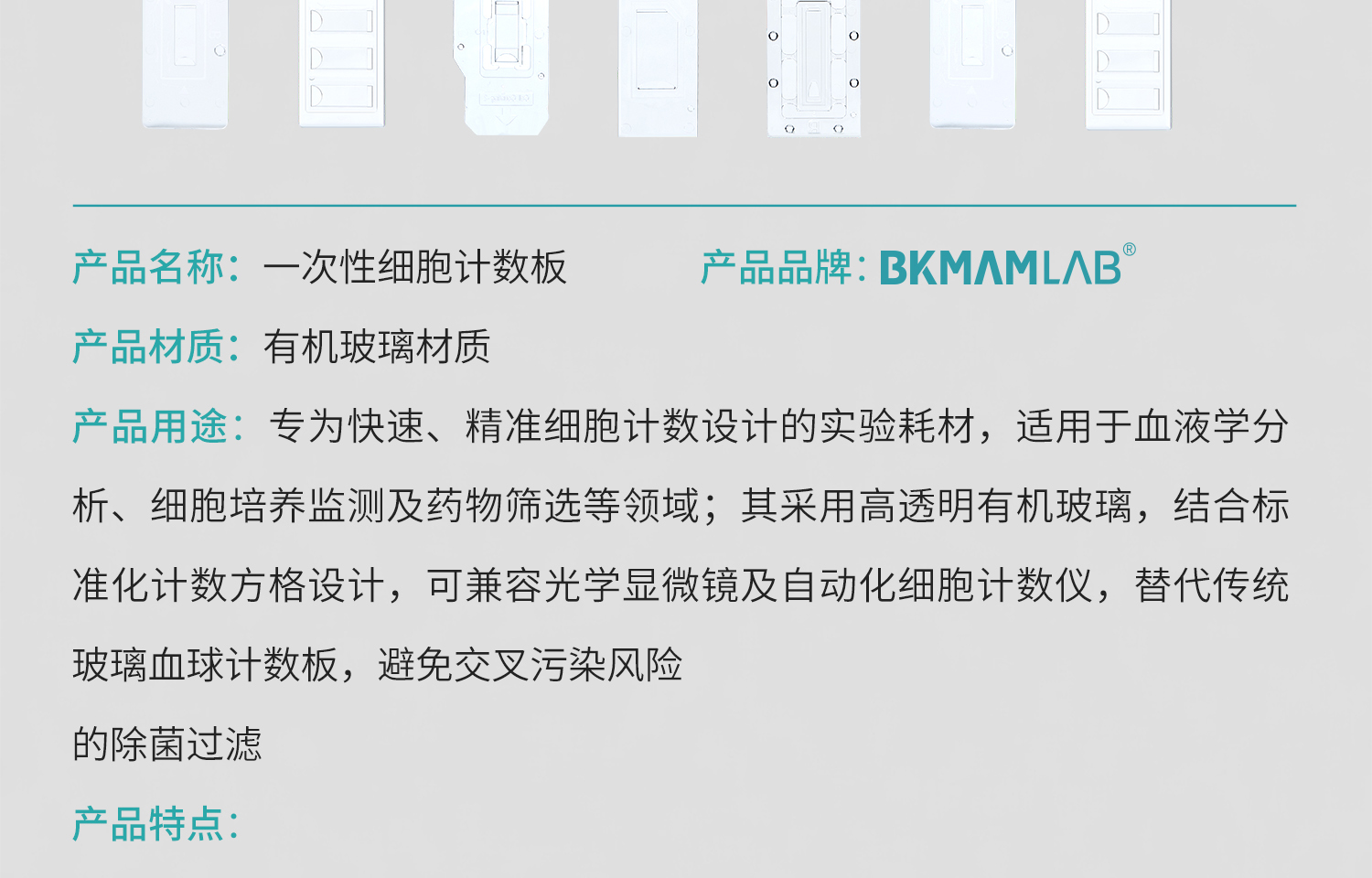 05.jpg
