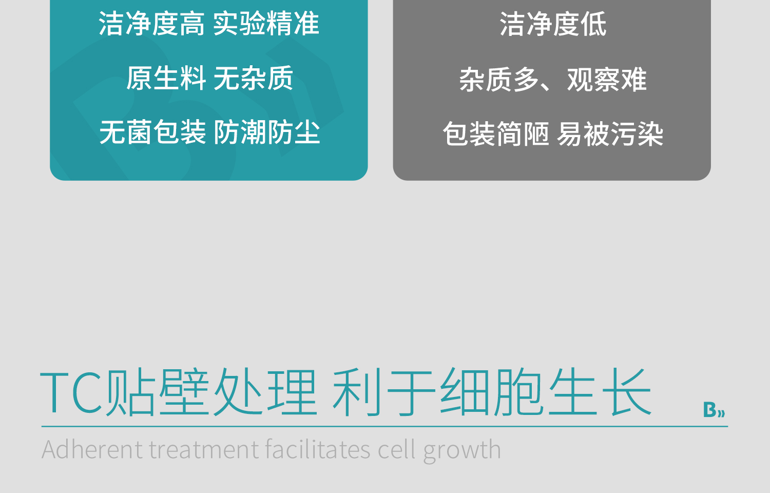 BKM貼壁細(xì)胞培養(yǎng)皿詳情2025.7_15.jpg
