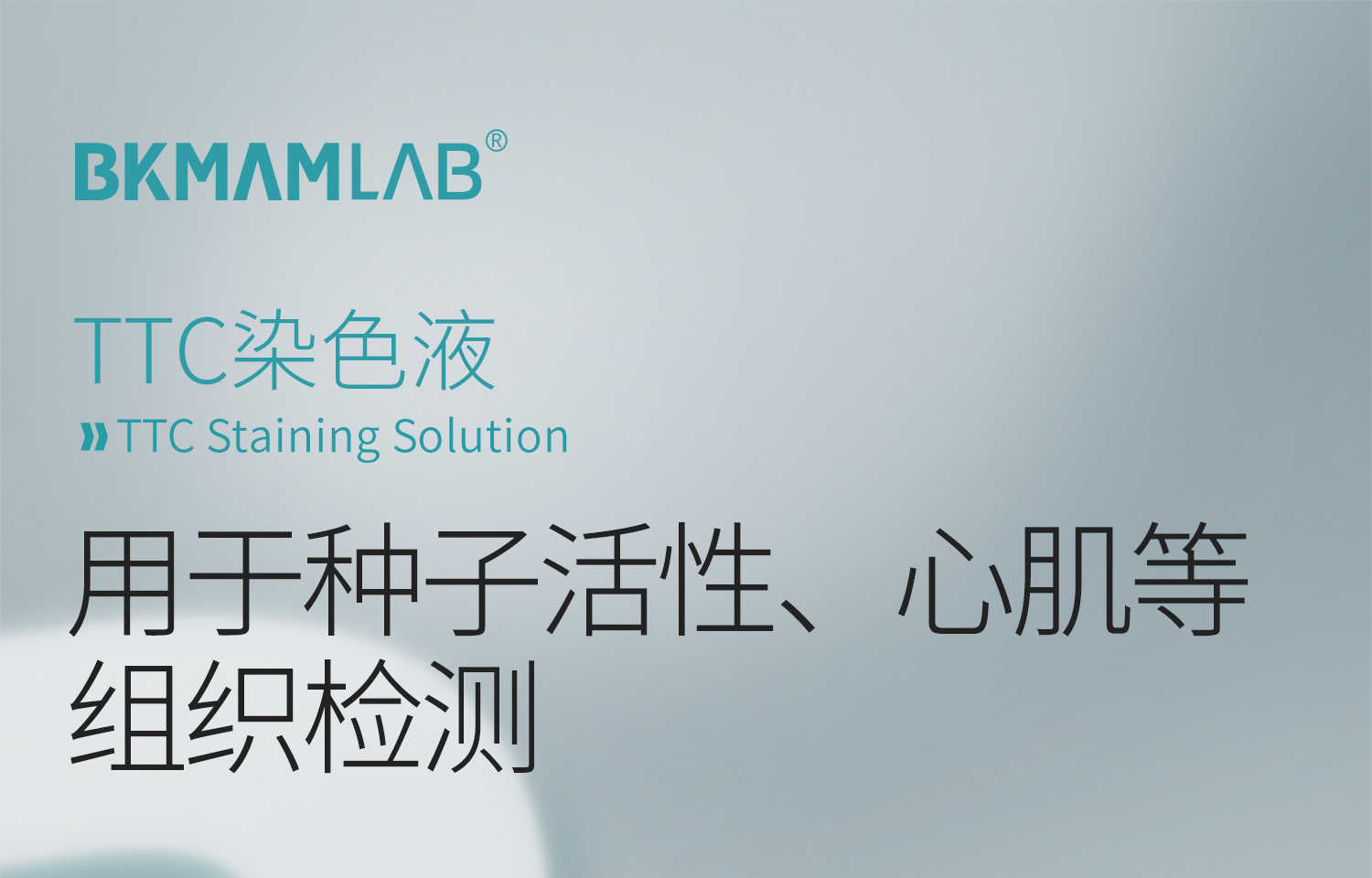 BKMAMLAB-TTC染色液详情_01.jpg