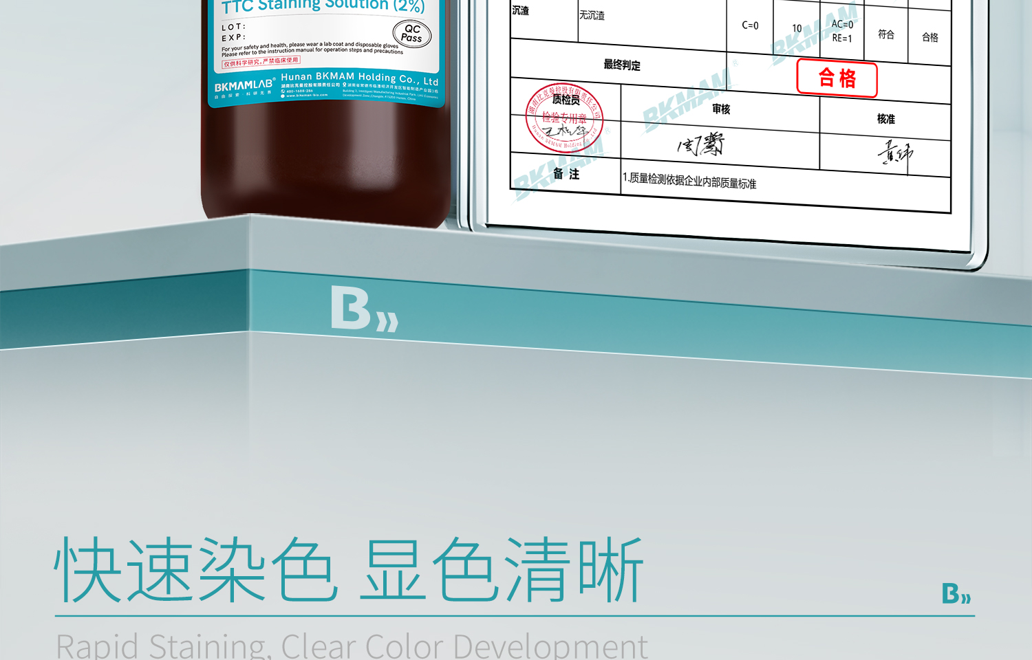 BKMAMLAB-TTC染色液详情_09.jpg