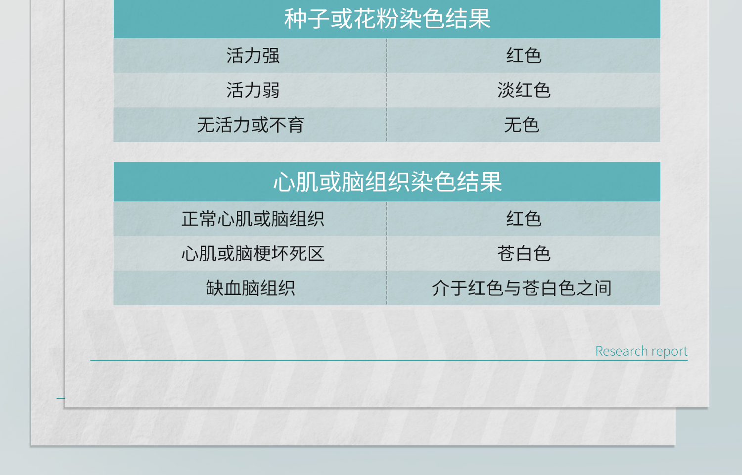 BKMAMLAB-TTC染色液详情_11.jpg