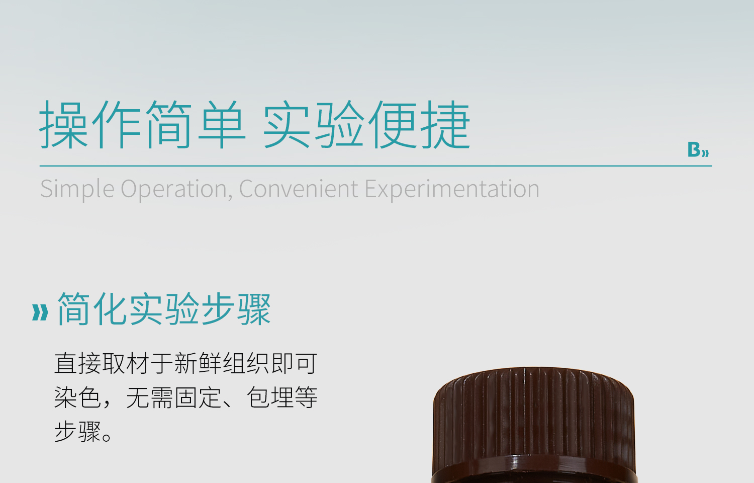BKMAMLAB-TTC染色液详情_12.jpg