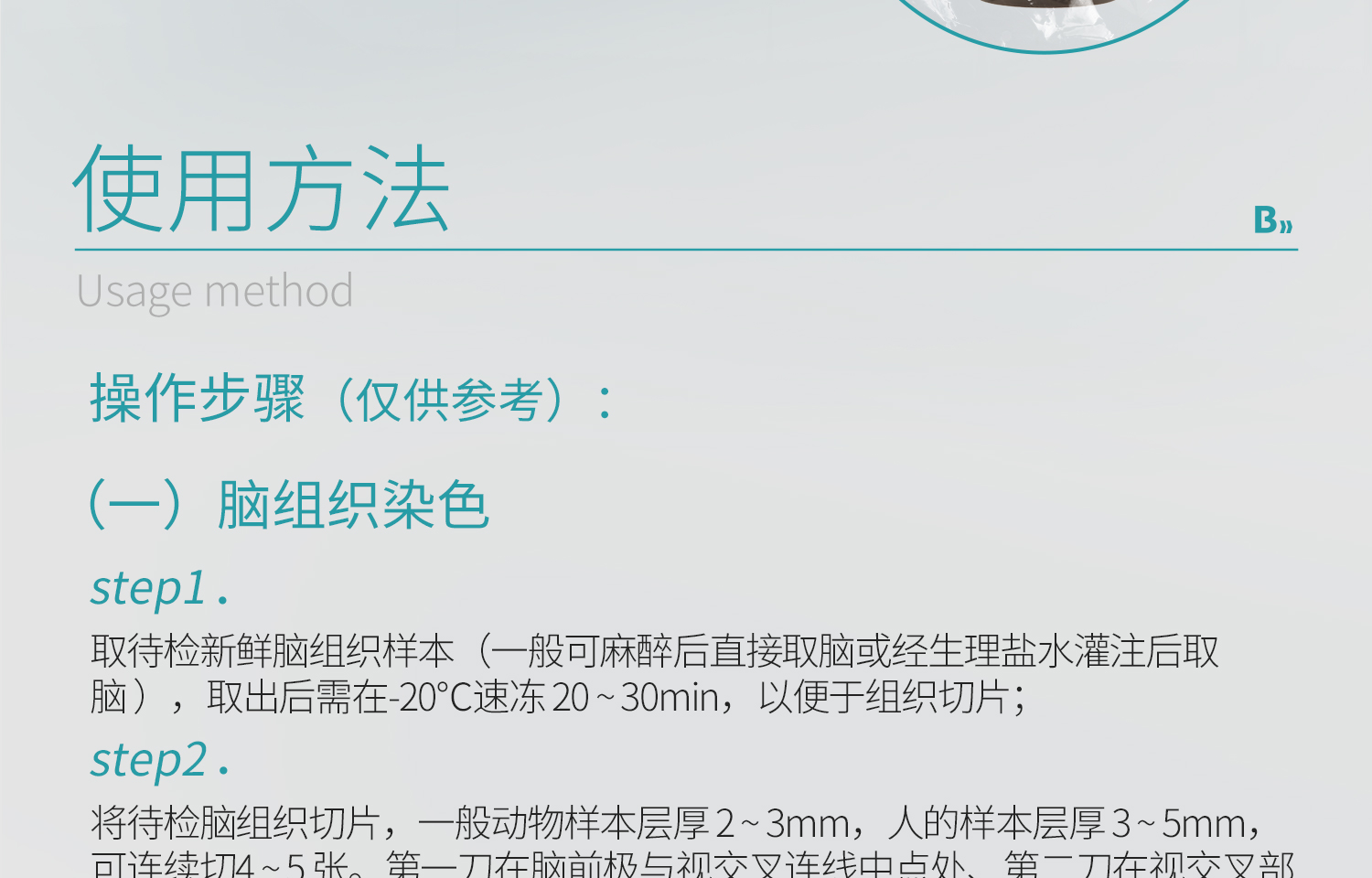 BKMAMLAB-TTC染色液详情_17.jpg
