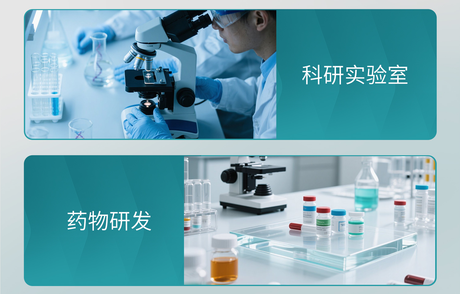 BKMAMLAB-TTC染色液详情_20.jpg