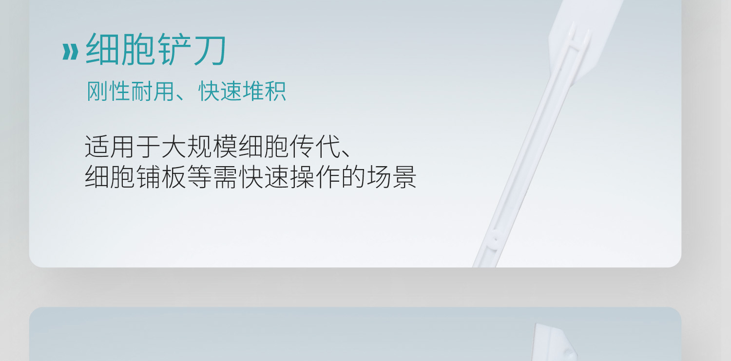 圖層-902_19.jpg