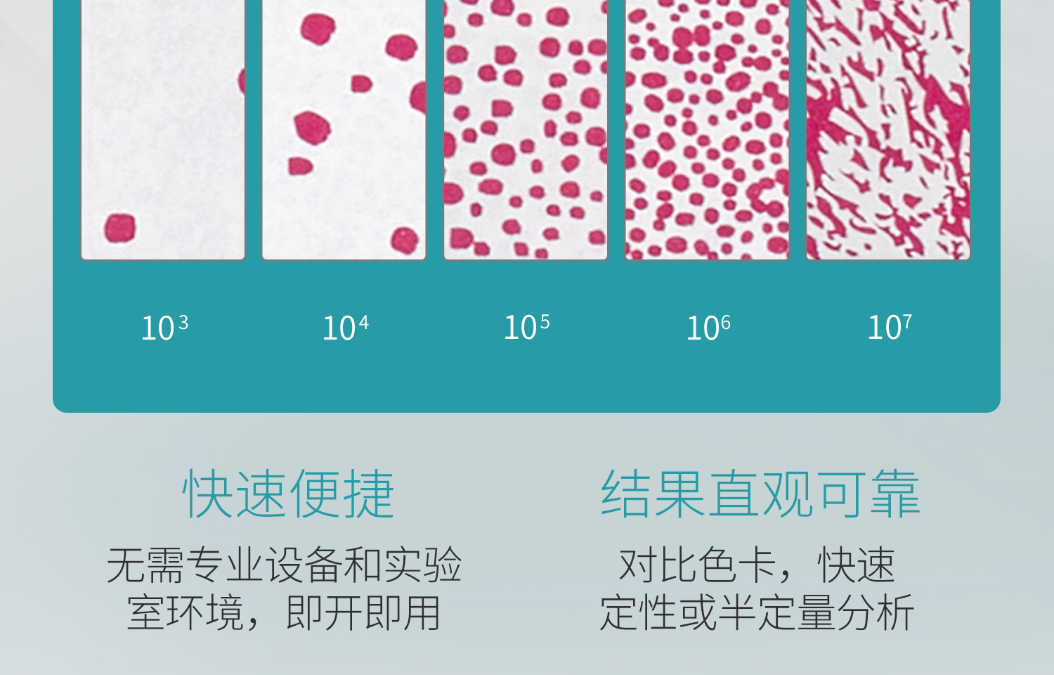 BKMAMLAB测菌片-详情_14.jpg