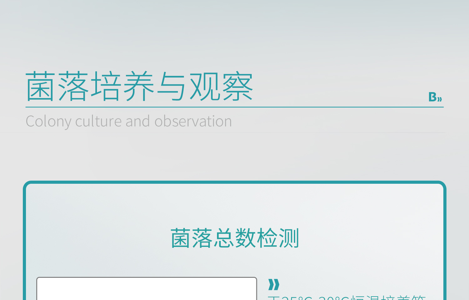 BKMAMLAB测菌片-详情_15.jpg