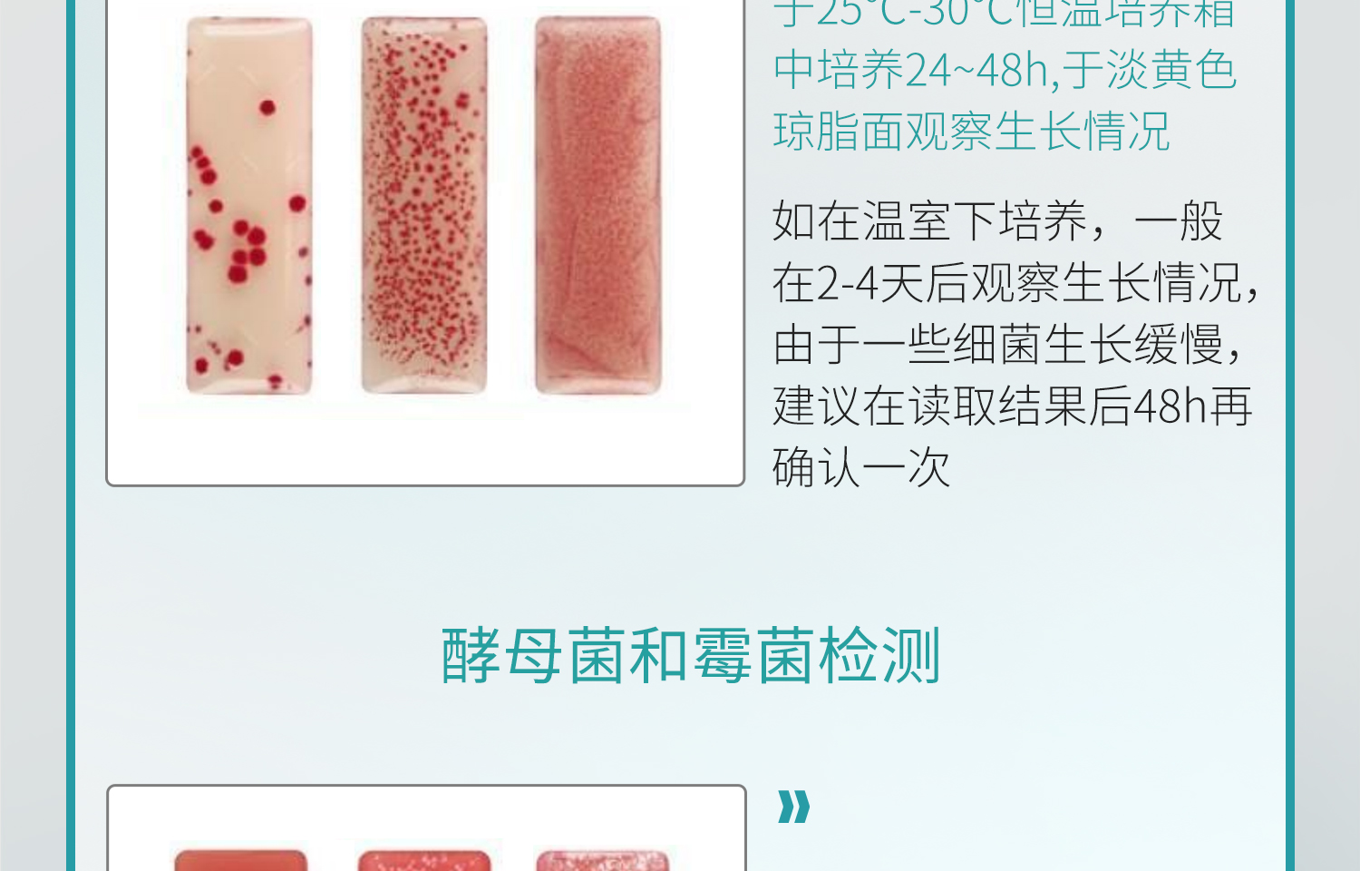 BKMAMLAB测菌片-详情_16.jpg