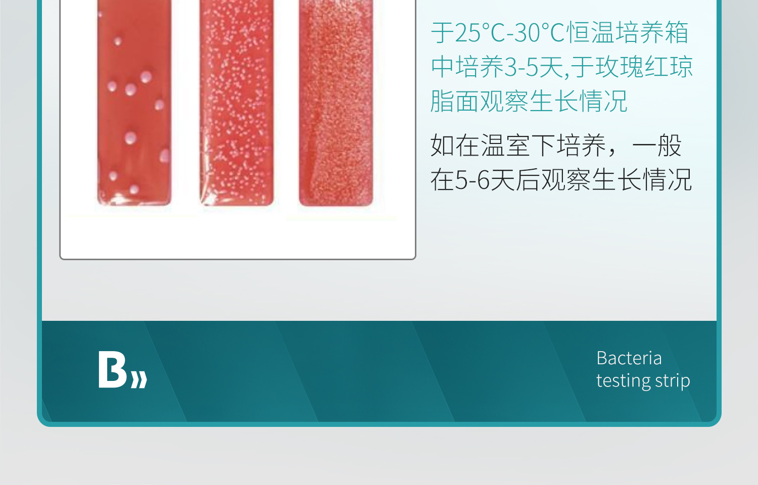 BKMAMLAB测菌片-详情_17.jpg