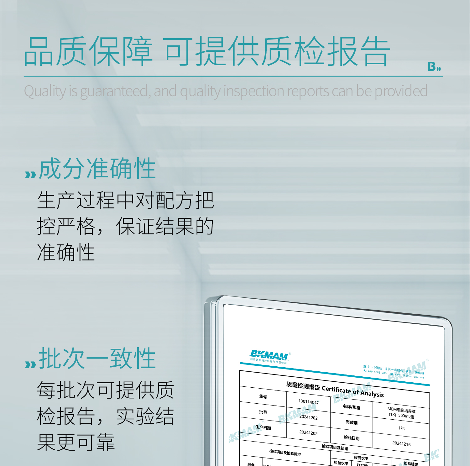 MEM细胞_05.jpg