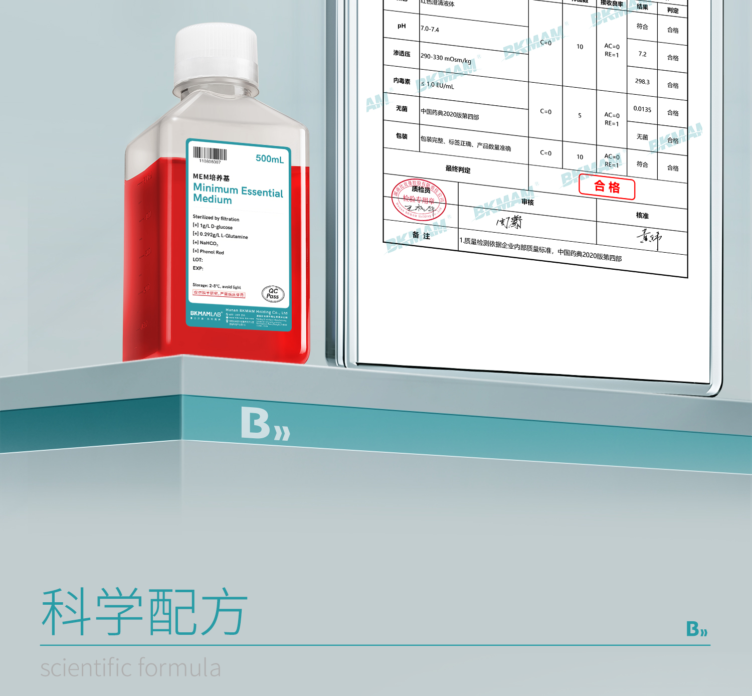 MEM细胞_06.jpg