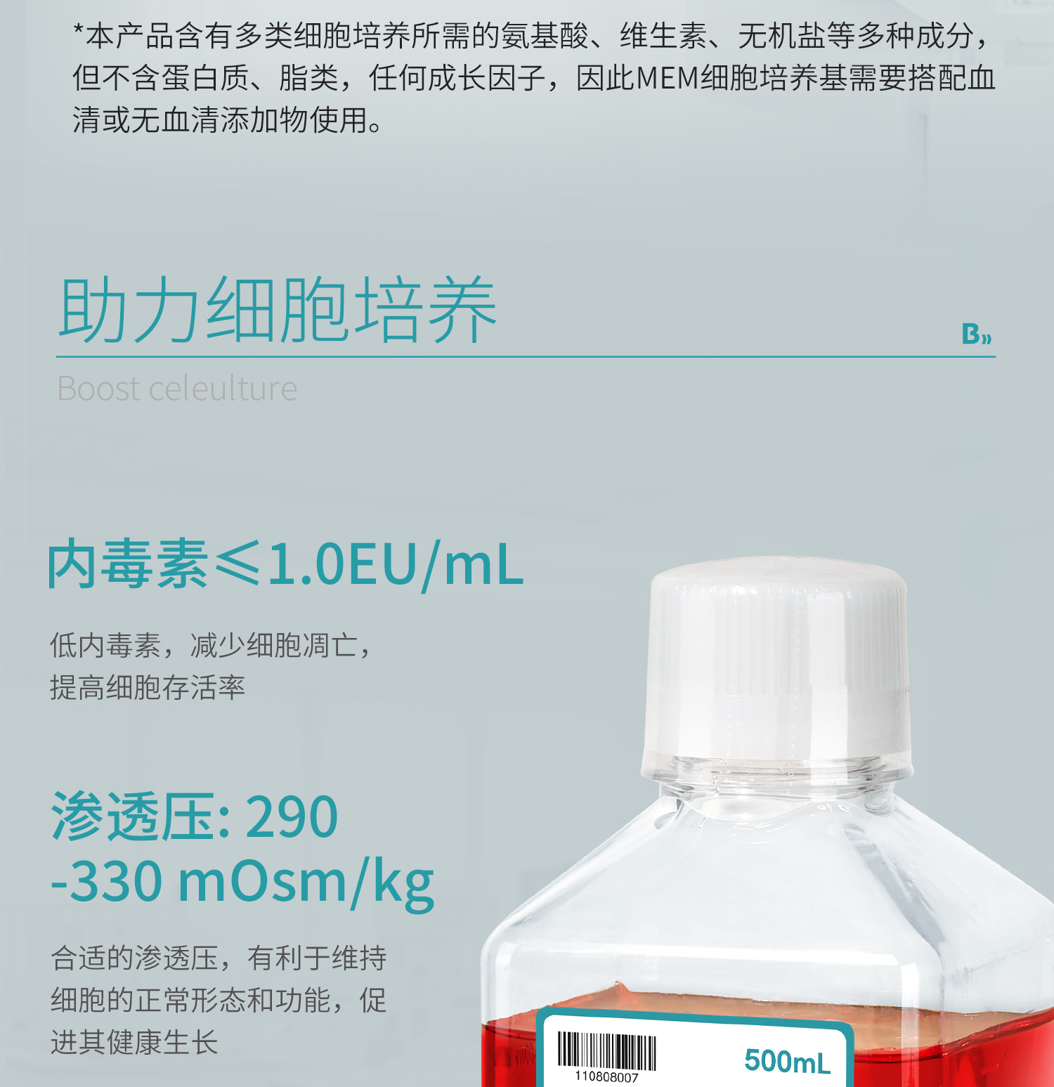 MEM细胞_08.jpg