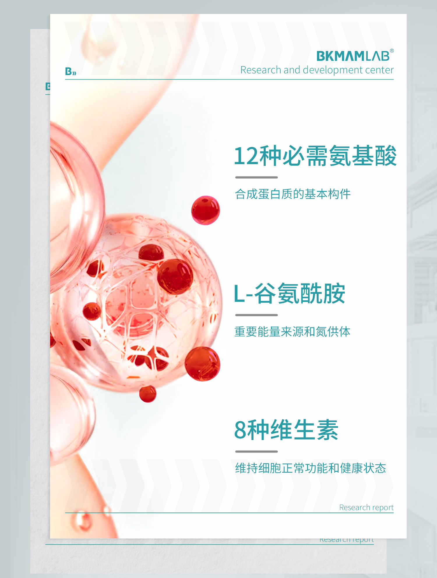 MEM细胞_07.jpg