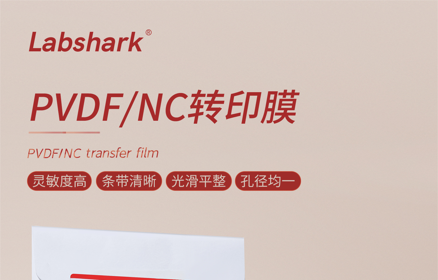 转印膜-详情_01.jpg