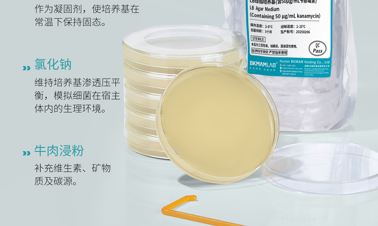 LB瓊脂平板_12.jpg