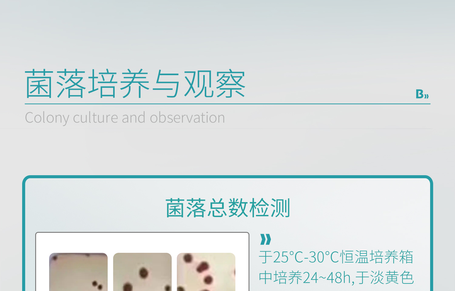 BKMAMLAB測(cè)菌片-詳情_(kāi)15.jpg