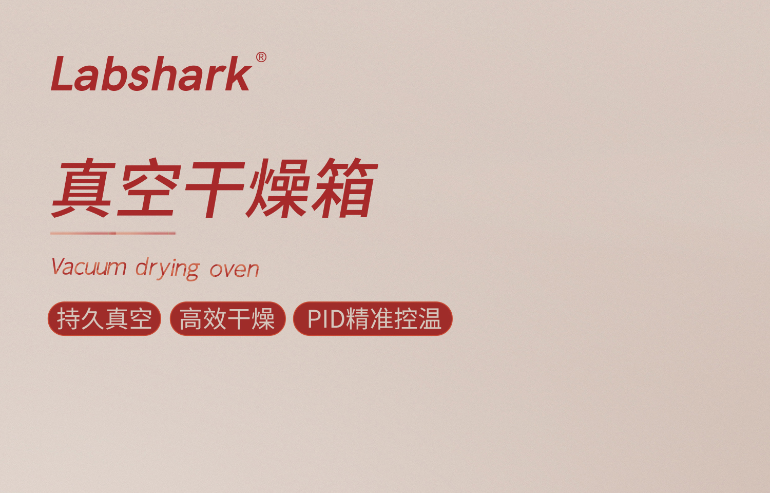 真空干燥箱 (1).jpg