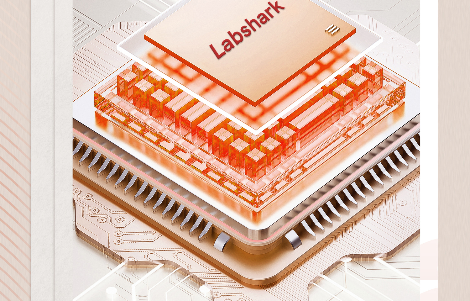 真空干燥箱 (11).jpg