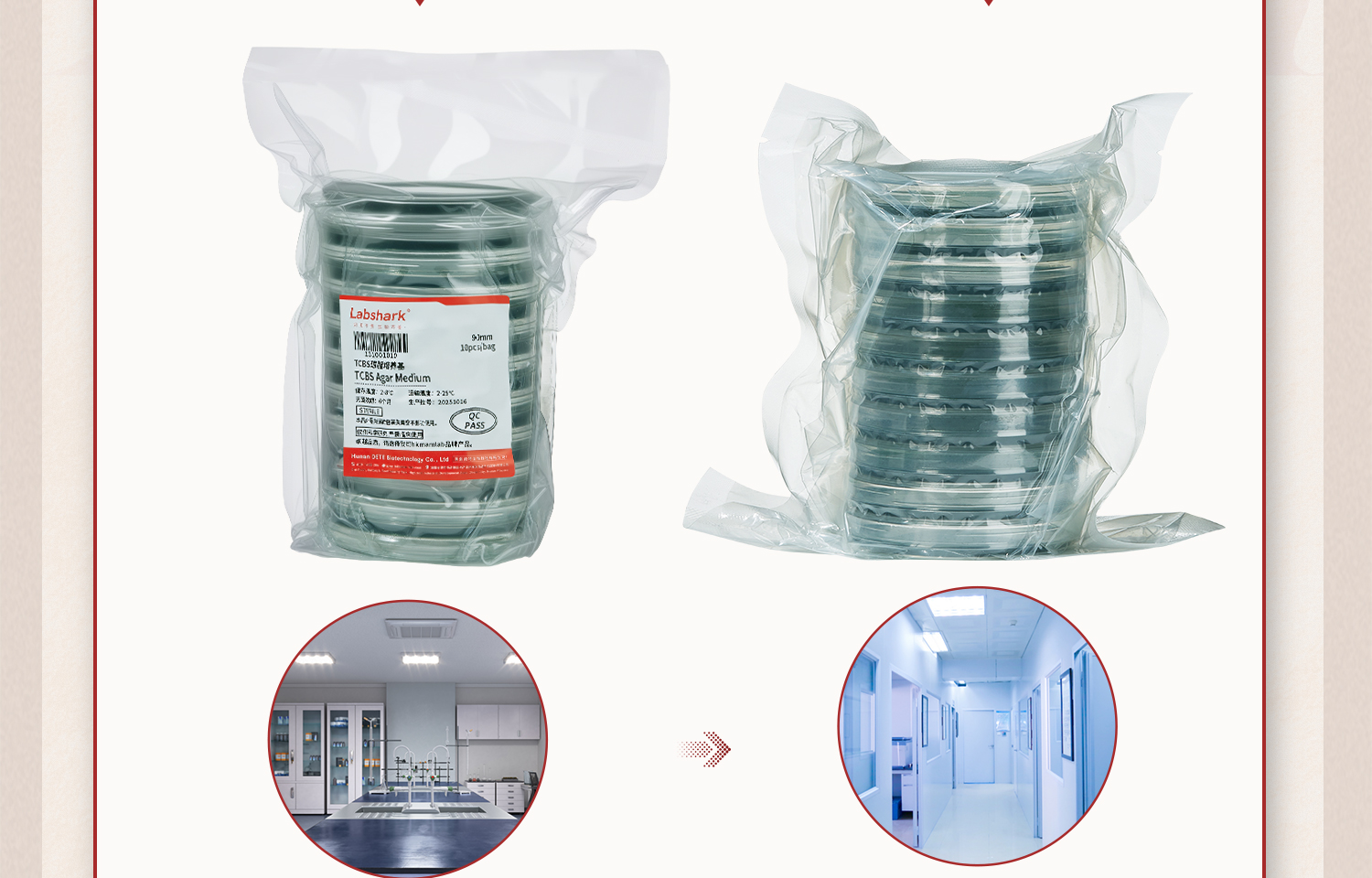 LabTCBS琼脂培养基详情_10.jpg