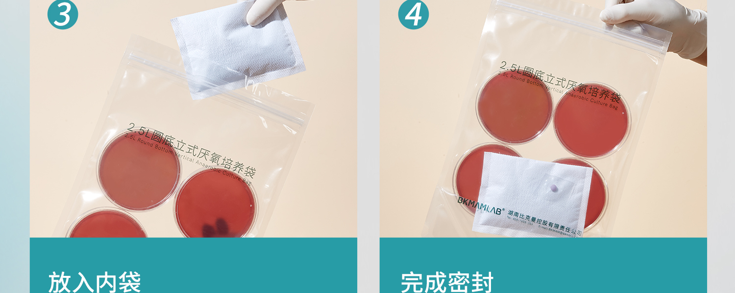 BKMAMLAB厌氧产气袋_26.jpg