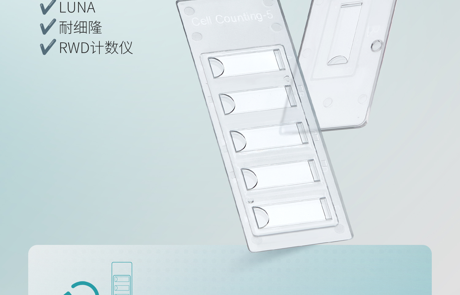 細(xì)胞計(jì)數(shù)板_21.jpg
