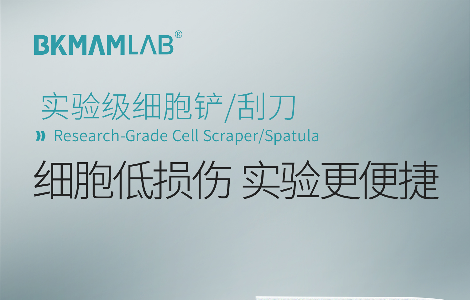 BKMAMLAB-細(xì)胞刮刀_01.jpg