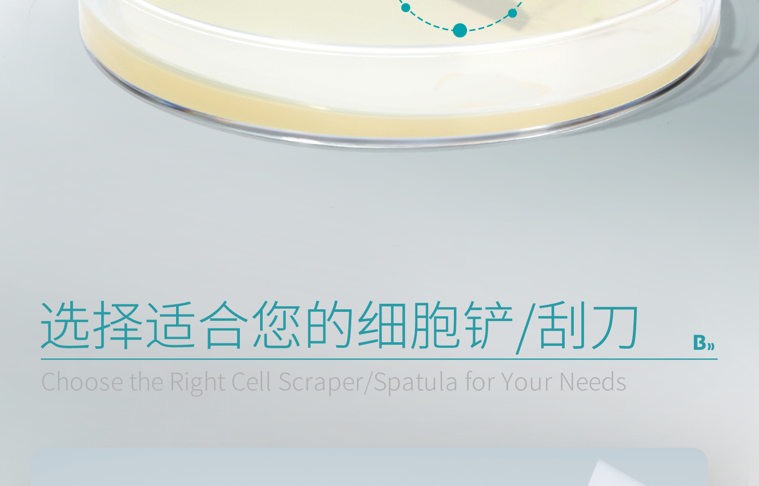 BKMAMLAB-細(xì)胞刮刀_14.jpg