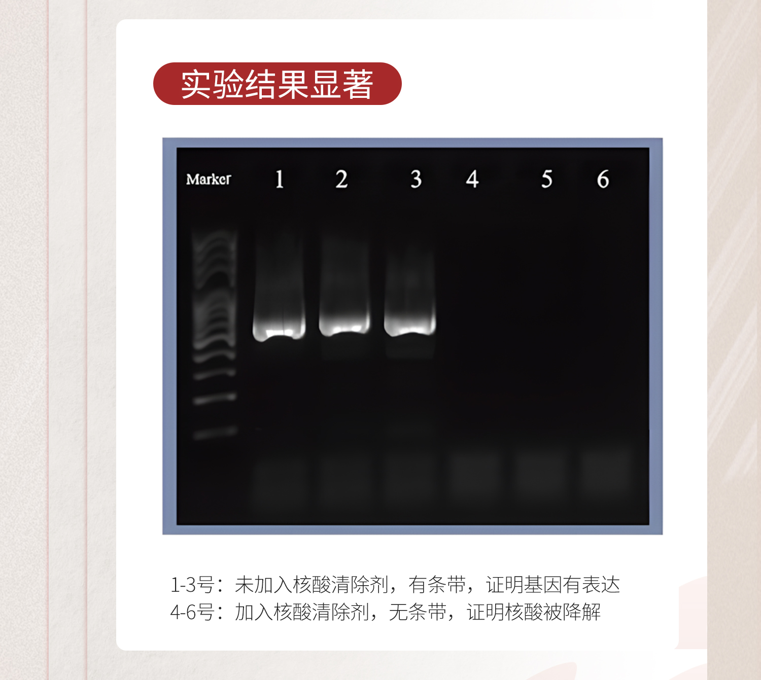Lab-核酸清潔劑_09.jpg