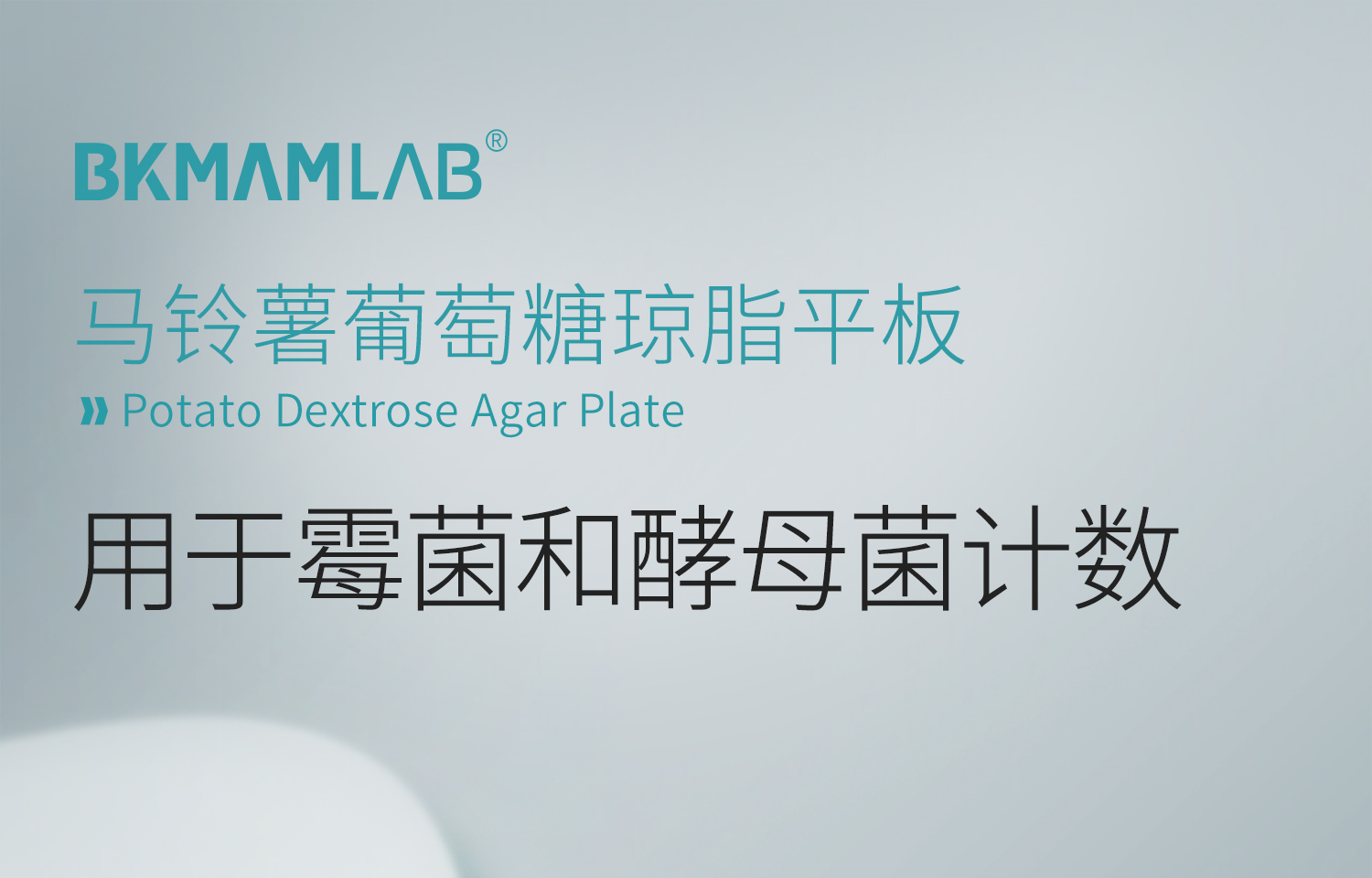 马铃薯琼脂平板_01.jpg